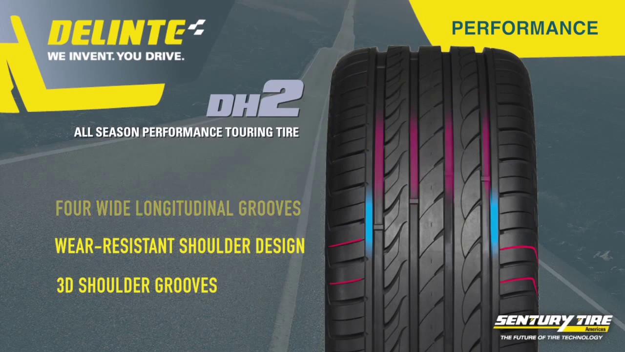 Delinte DH2 (1)
